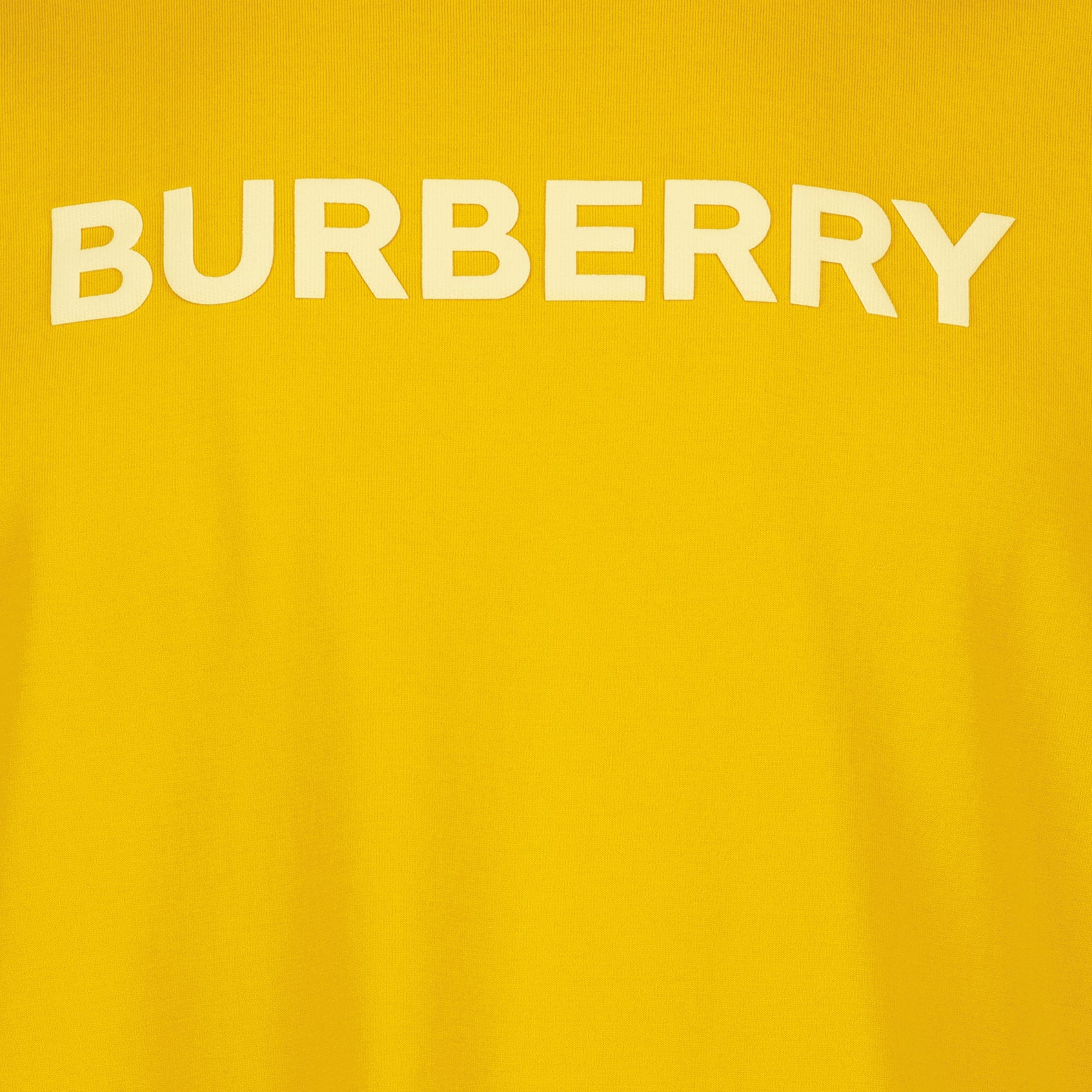 Camisetas T-shirt Harriston Burberry Laranja Homme