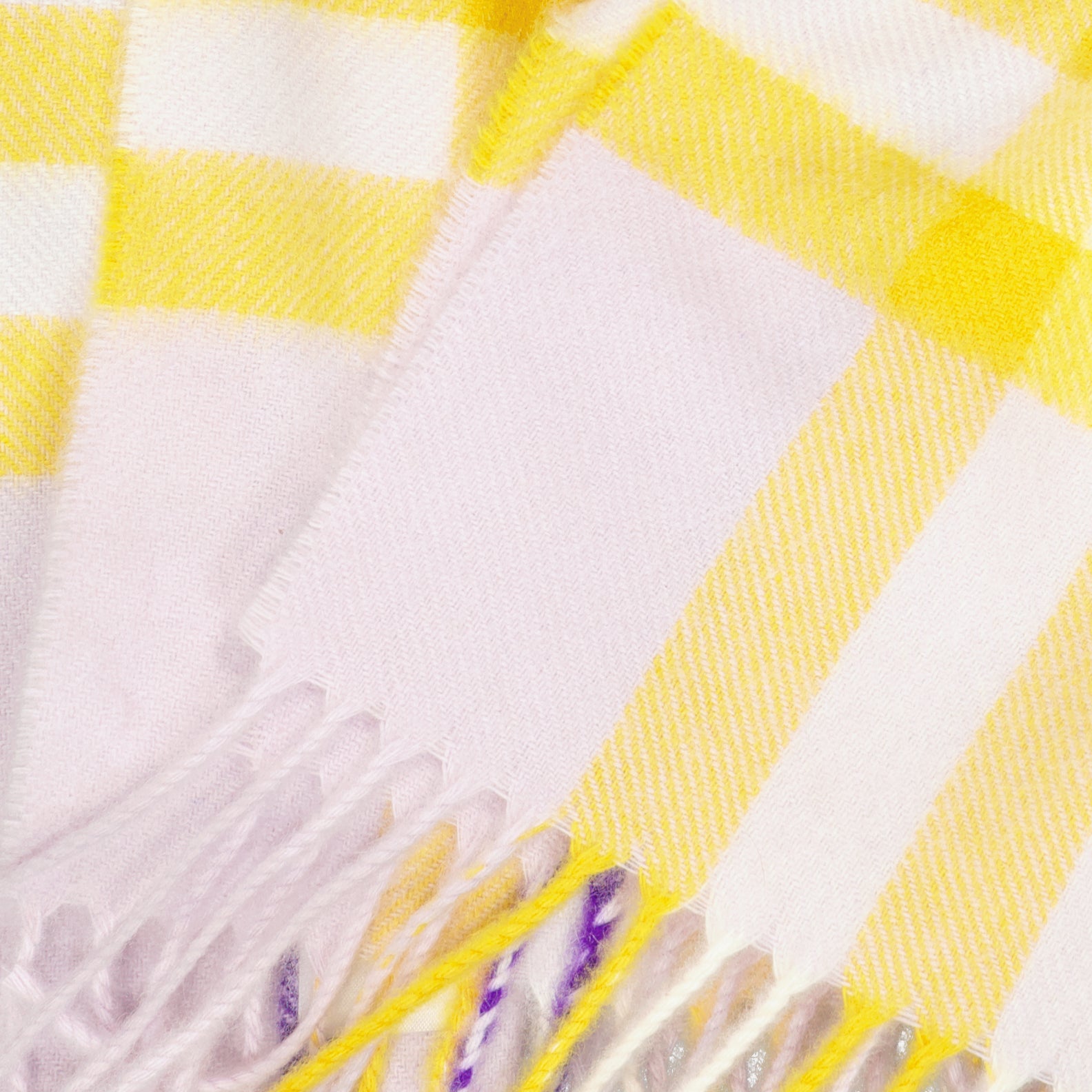 Écharpes, foulards et gants Écharpe en cachemire Burberry Violet Unisexe