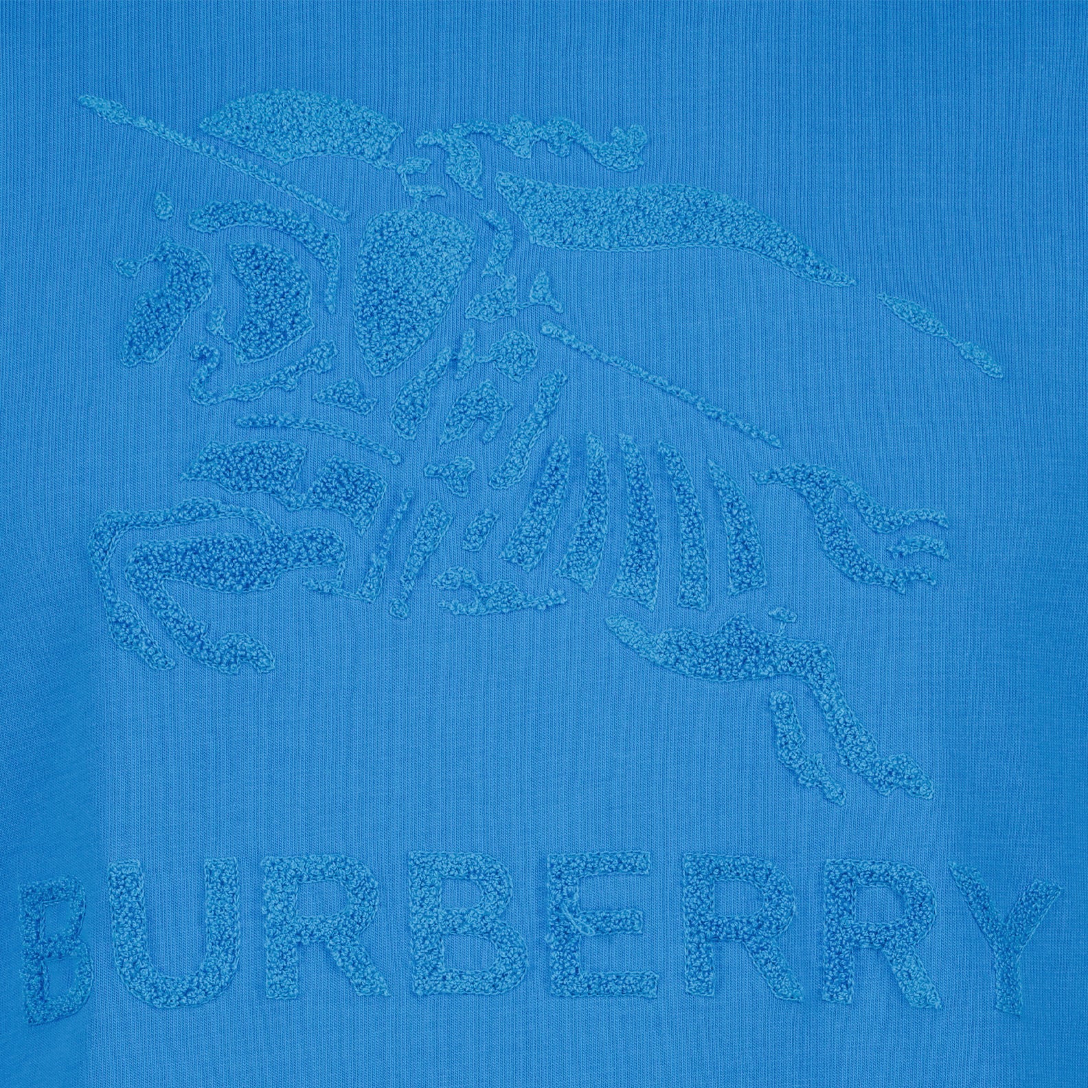 Tシャツ ライダーTシャツ Burberry 青 男
