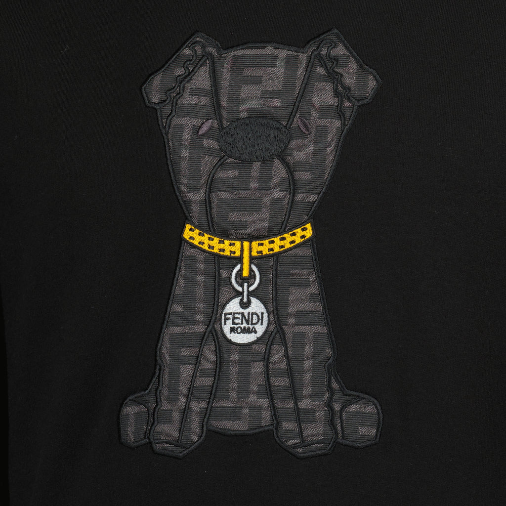 Bild des schwarzen bedruckten Sweatshirts der Marke Fendi für Herren - Frühjahr-Sommer 2026 - Detailansicht_1