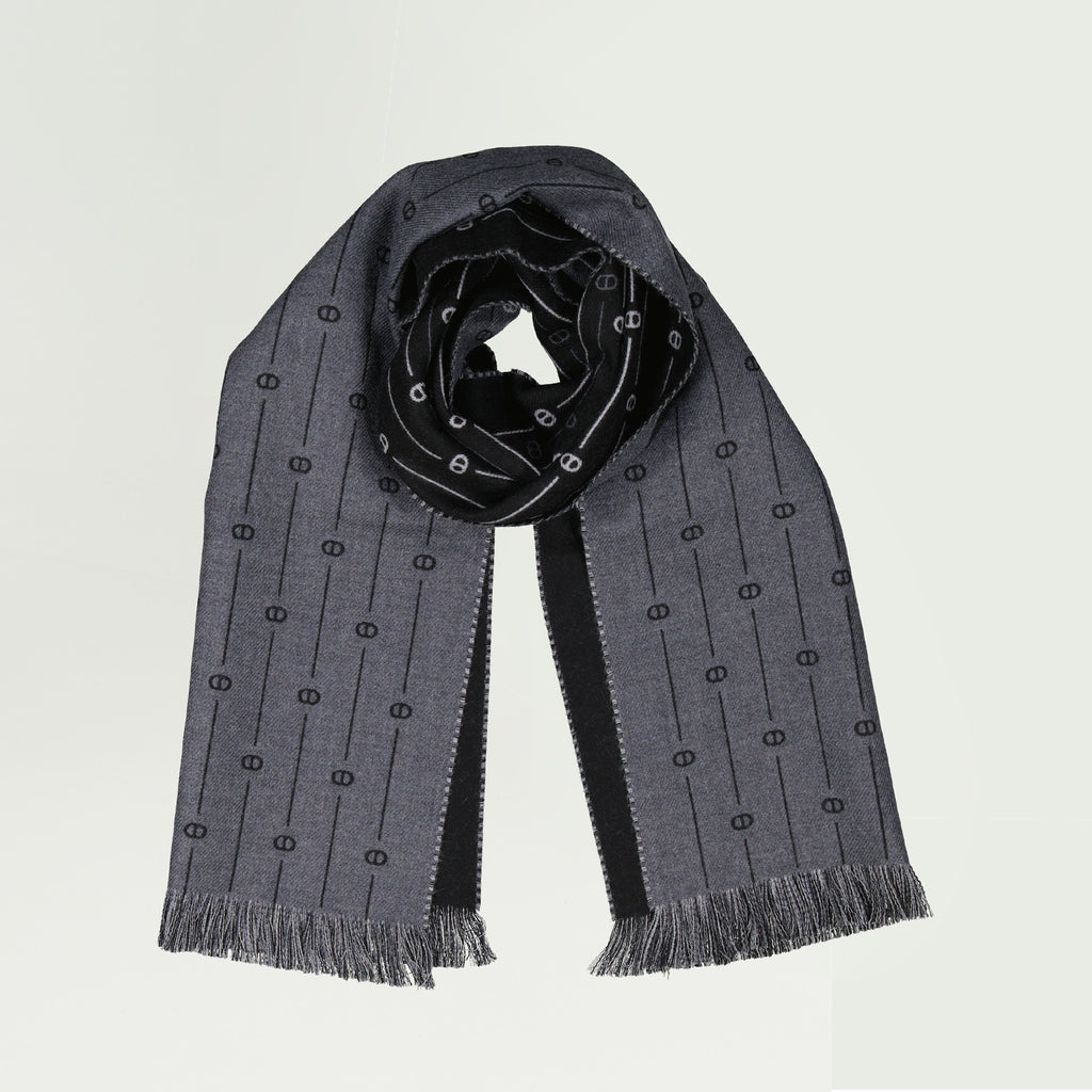 Écharpes, foulards et gants Écharpe CD Icon Dior Gris Homme