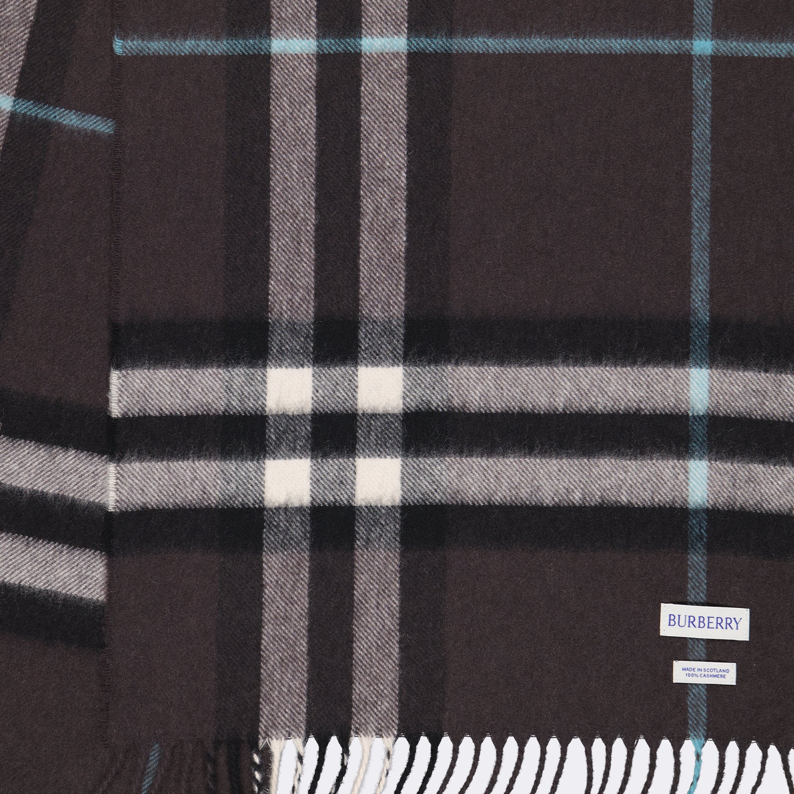 Écharpes, foulards et gants Écharpe en cachemire Burberry Marron Unisexe