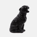 Lifestyle Grand Rokko Cheetah Versace Noir Unisexe