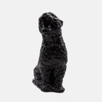 Lifestyle Grand Rokko Cheetah Versace Noir Unisexe