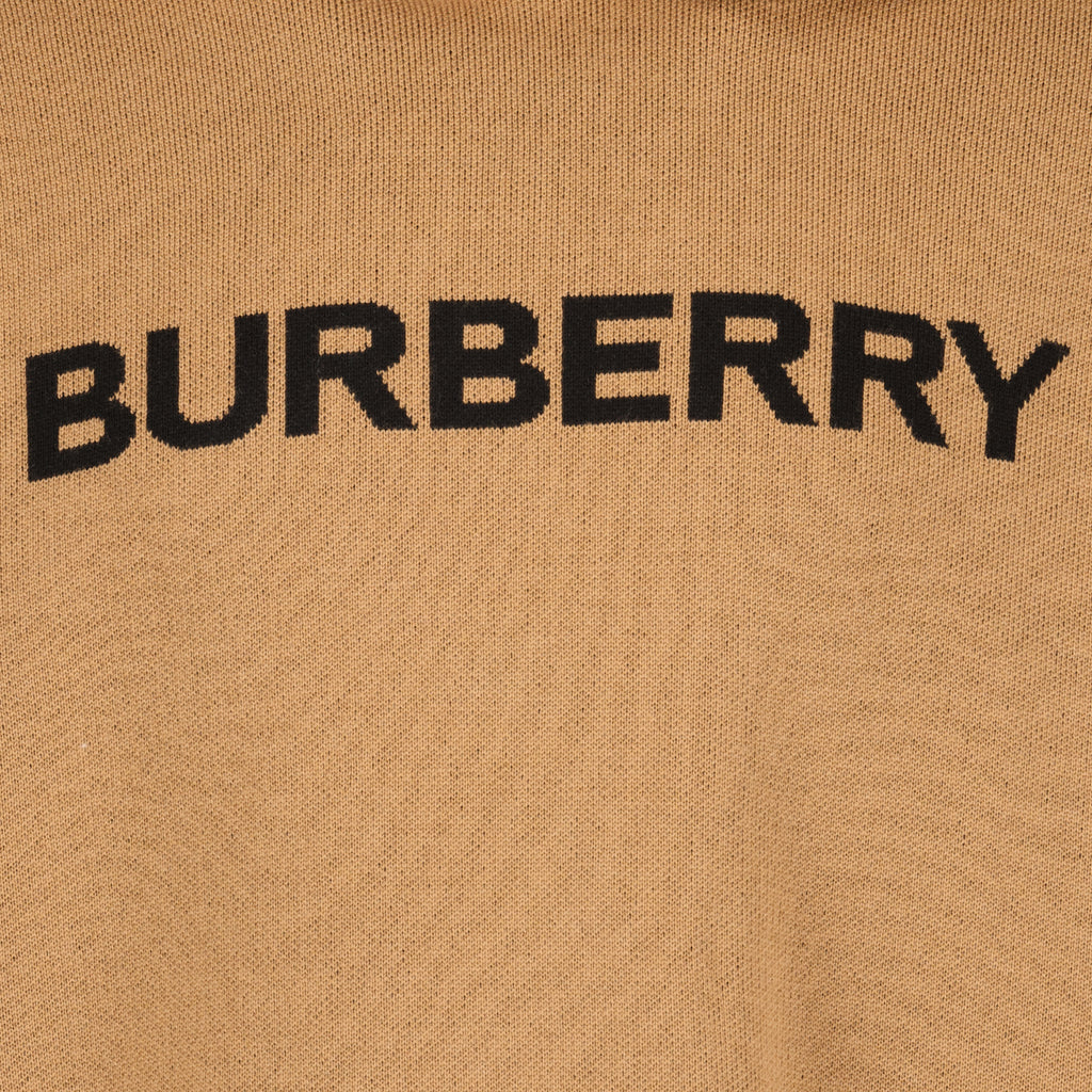 Sweatshirts Sweat à capuche en laine Burberry Braun Homme