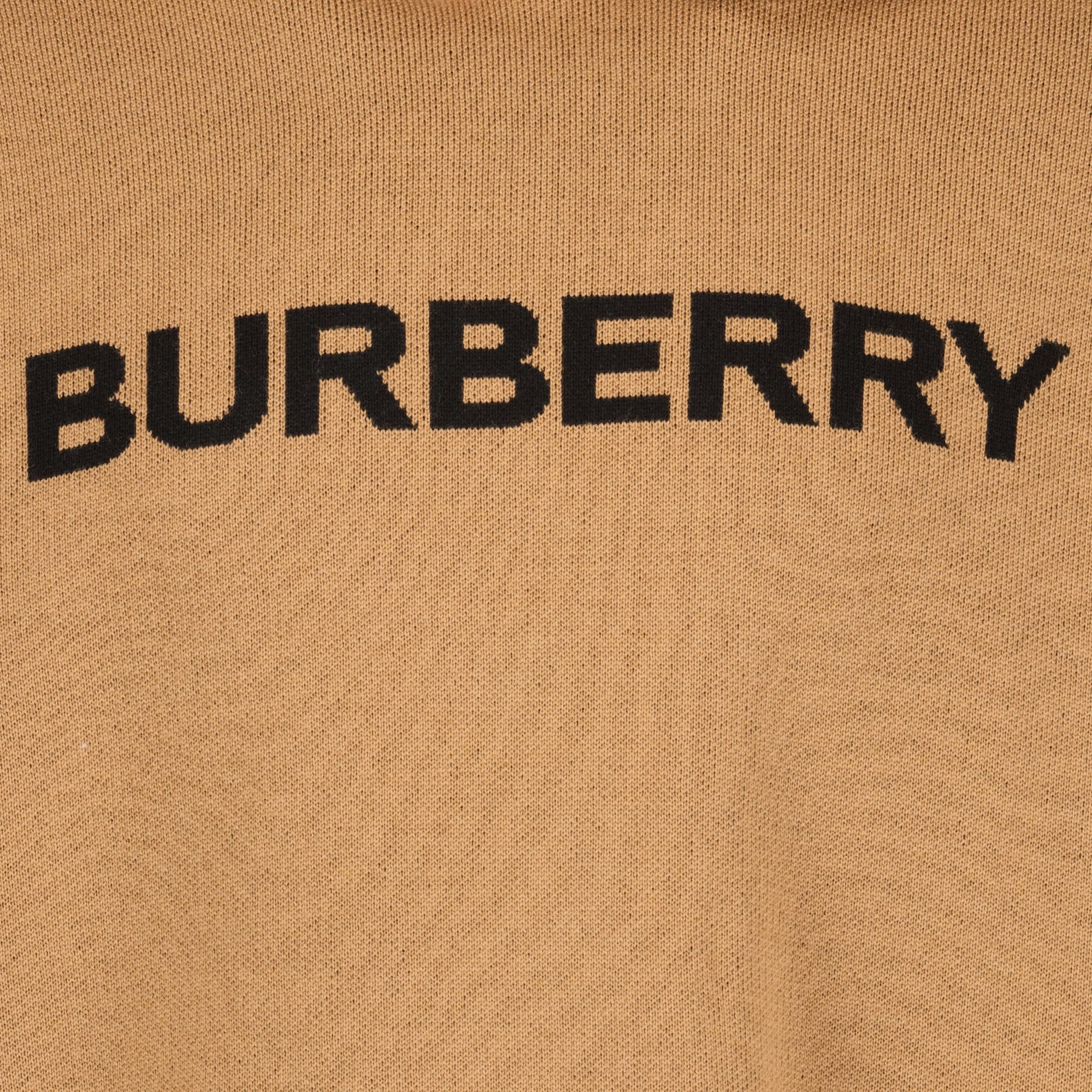 Sweatshirts Sweat à capuche en laine Burberry Braun Homme