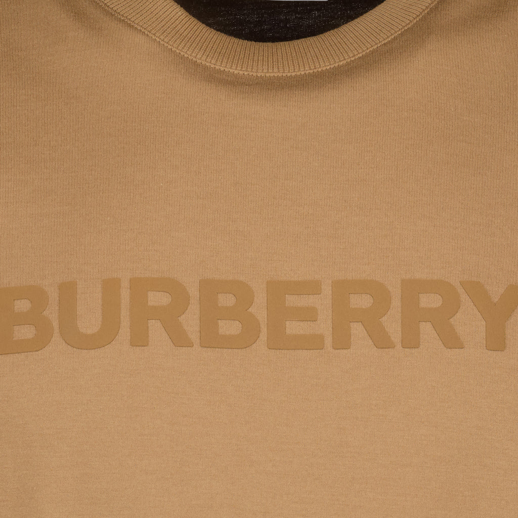 T-shirt T-Shirt con Logo Burberry Marrone Homme