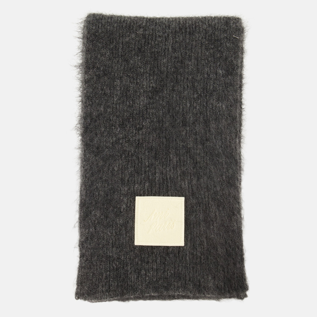 Écharpes, foulards et gants Cachecol de Mohair Cinza Ami PARIS Gris Unisexe