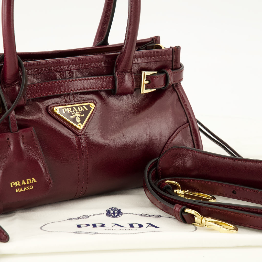 Sacs à main et épaule Mini Bonnie Ledertasche in Burgunder Prada Bordeaux Femme