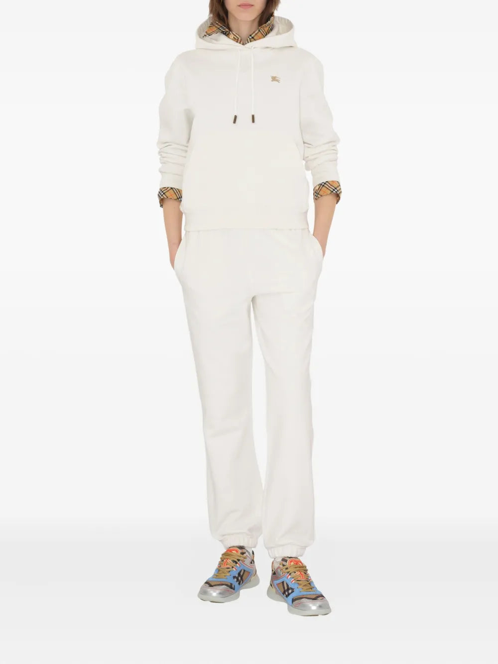 Image of the Burberry Knight Hoodie for Women - Fall-Winter 2025 - Back View