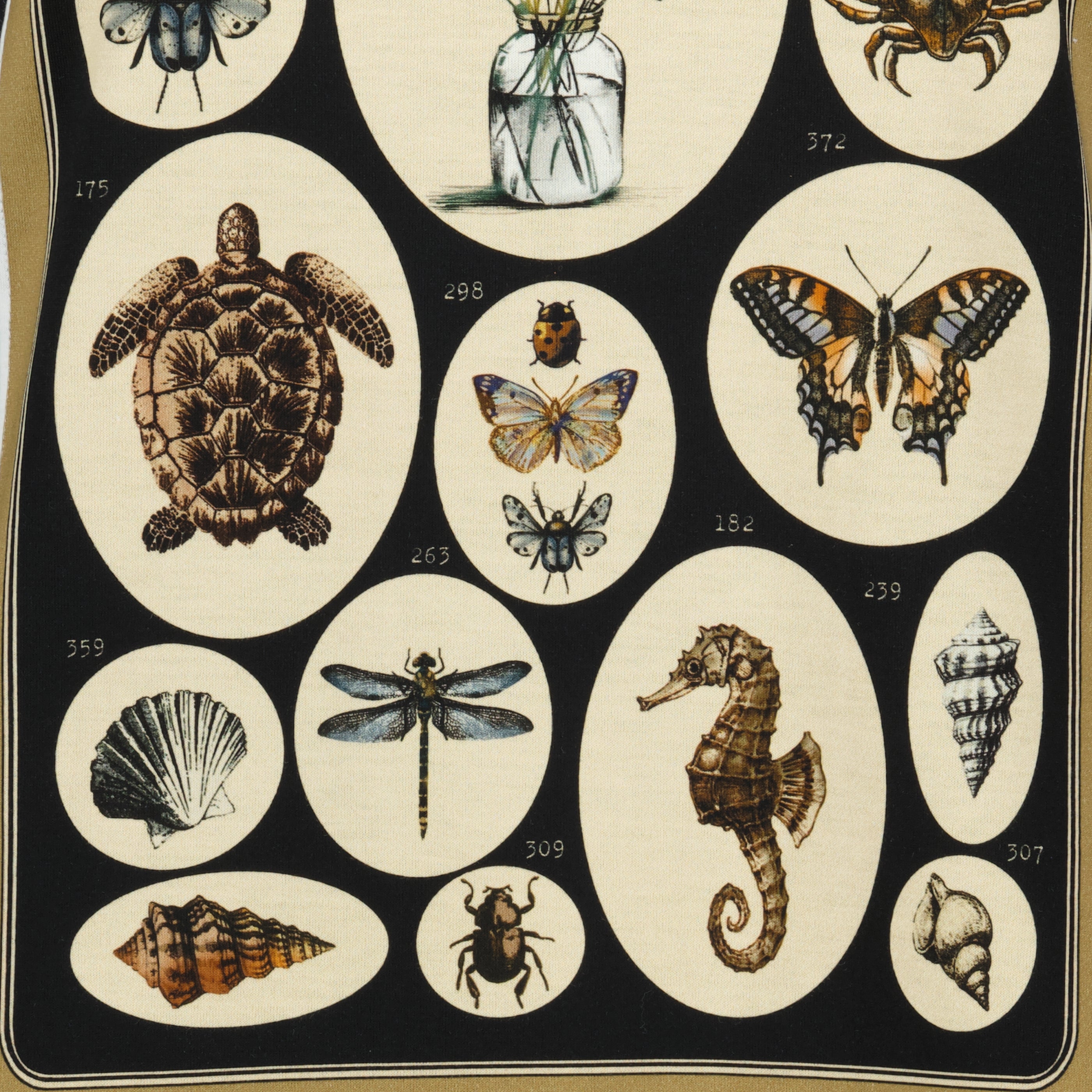 Immagine della T-shirt in cotone nero stampato di Max Mara per donna - Stagione Primavera-Estate 2026 - Vista Dettagliata 2