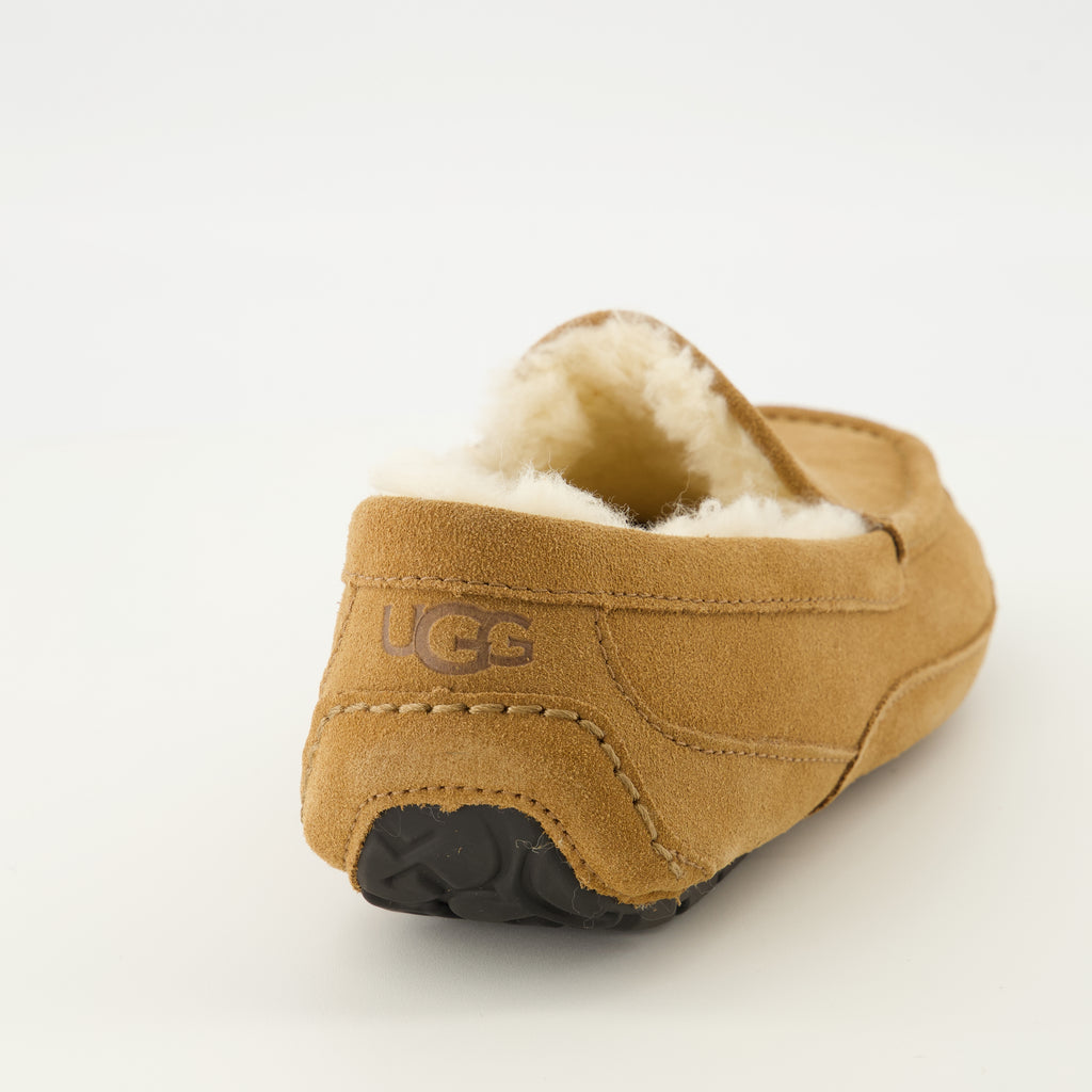 Image de l'article Chausson Ascot marron de la marque Ugg pour Homme - Saison Printemps-Été 2026 - Vue arrière