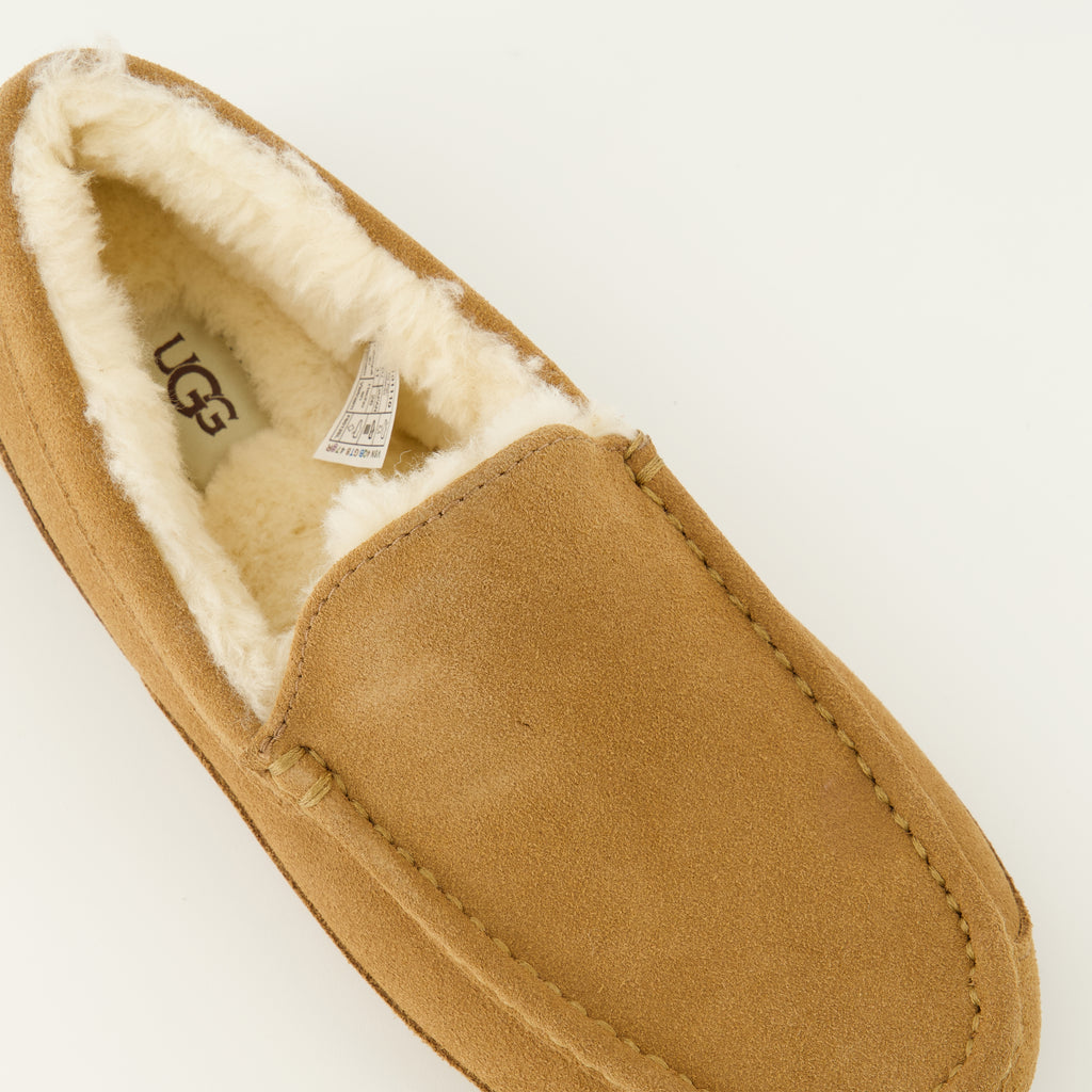 Image de l'article Chausson Ascot marron de la marque Ugg pour Homme - Saison Printemps-Été 2026 - Vue détaillée de haut
