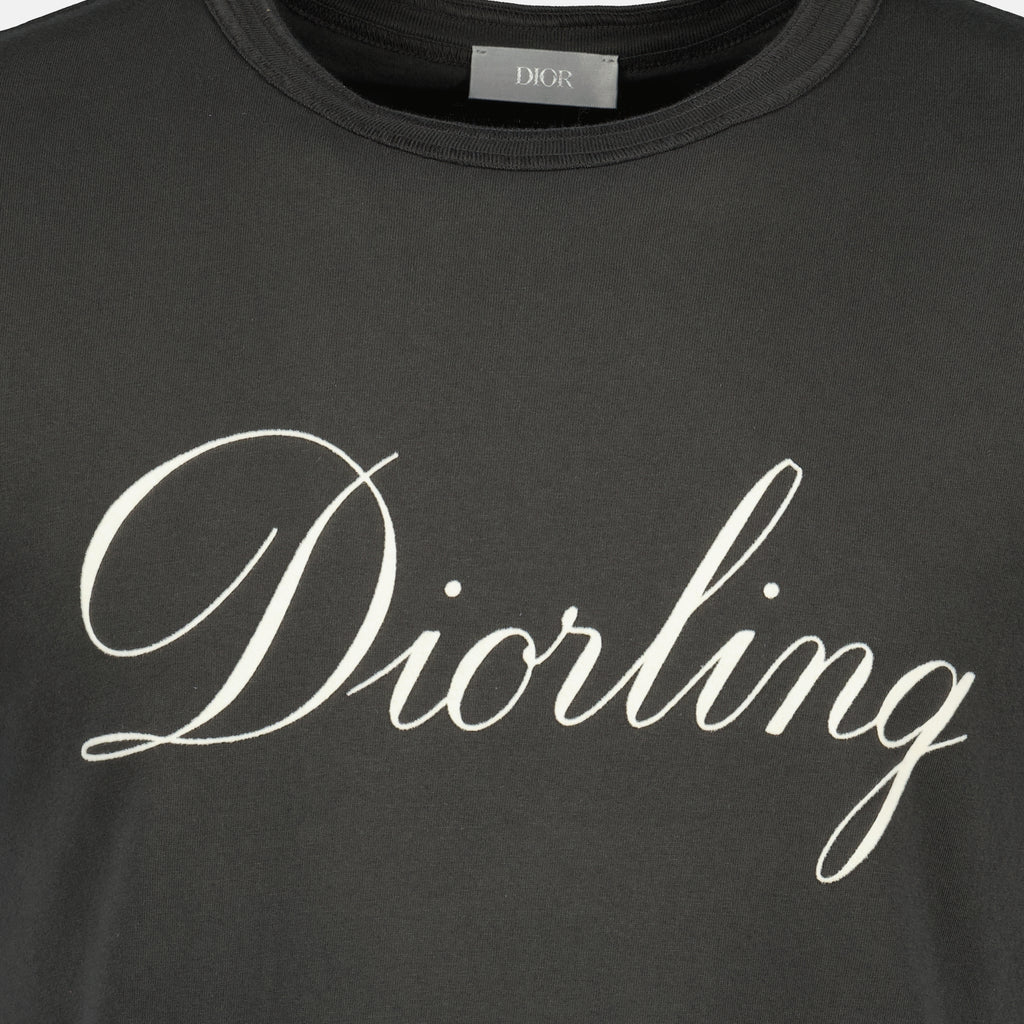 Bild des grauen Diorling-T-Shirts der Marke Dior für Herren - Herbst-Winter 2025 - Detailansicht_1