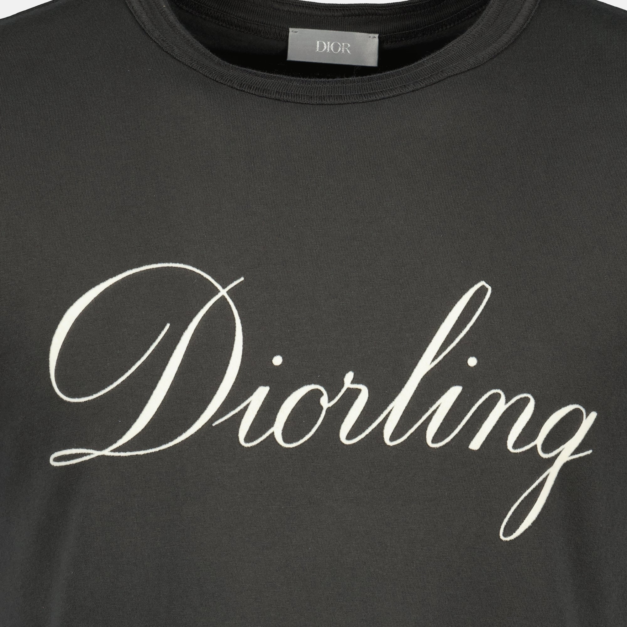 Bild des grauen Diorling-T-Shirts der Marke Dior für Herren - Herbst-Winter 2025 - Detailansicht_1