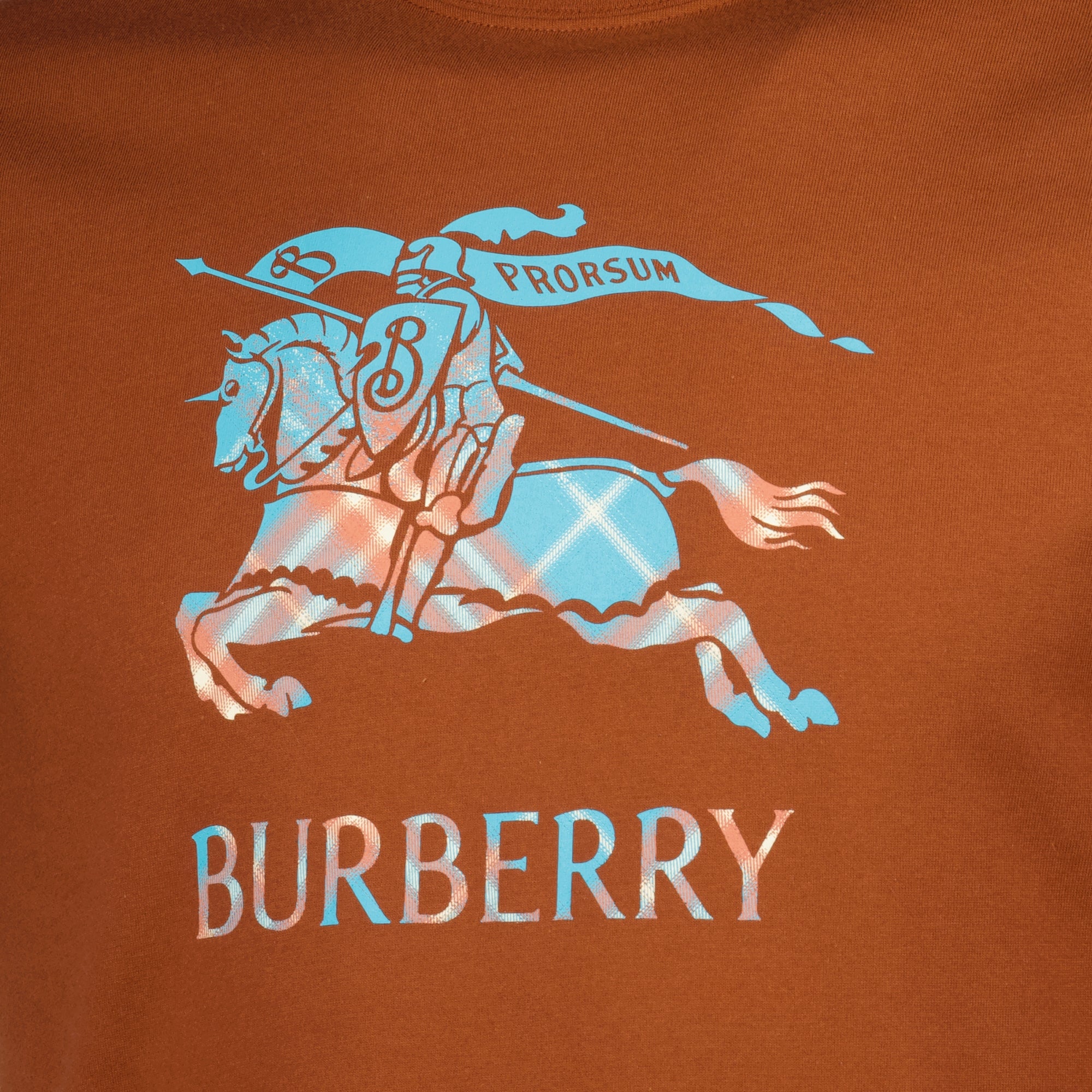 Image de l'article T-shirt EKD marron de la marque Burberry pour Homme - Saison Printemps-Été 2026 - Vue détaillée_2