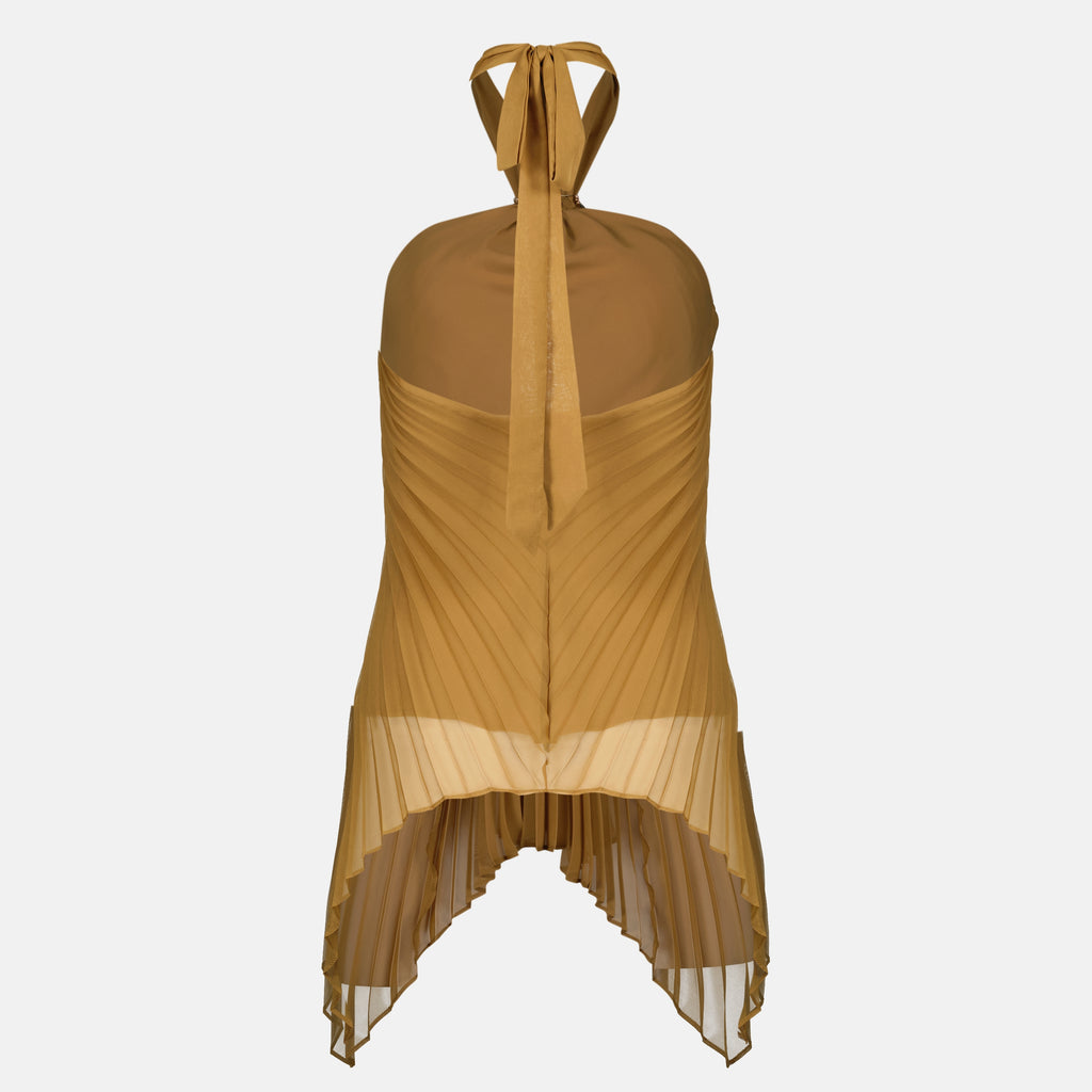 Image of the brown pleated top by Max Mara for Women - Spring-Summer 2026 - Back View