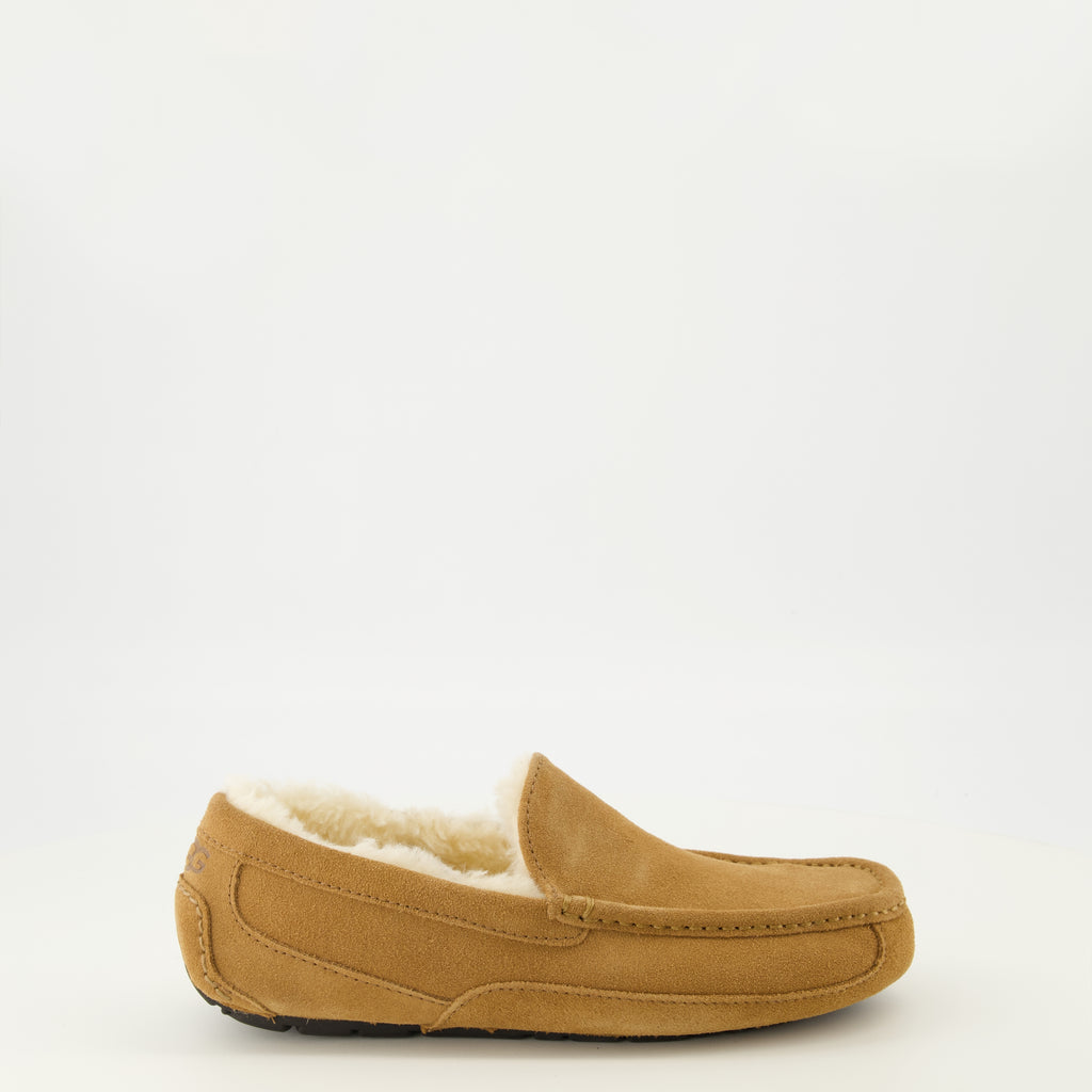 Image de l'article Chausson Ascot marron de la marque Ugg pour Homme - Saison Printemps-Été 2026 - Vue latérale droite