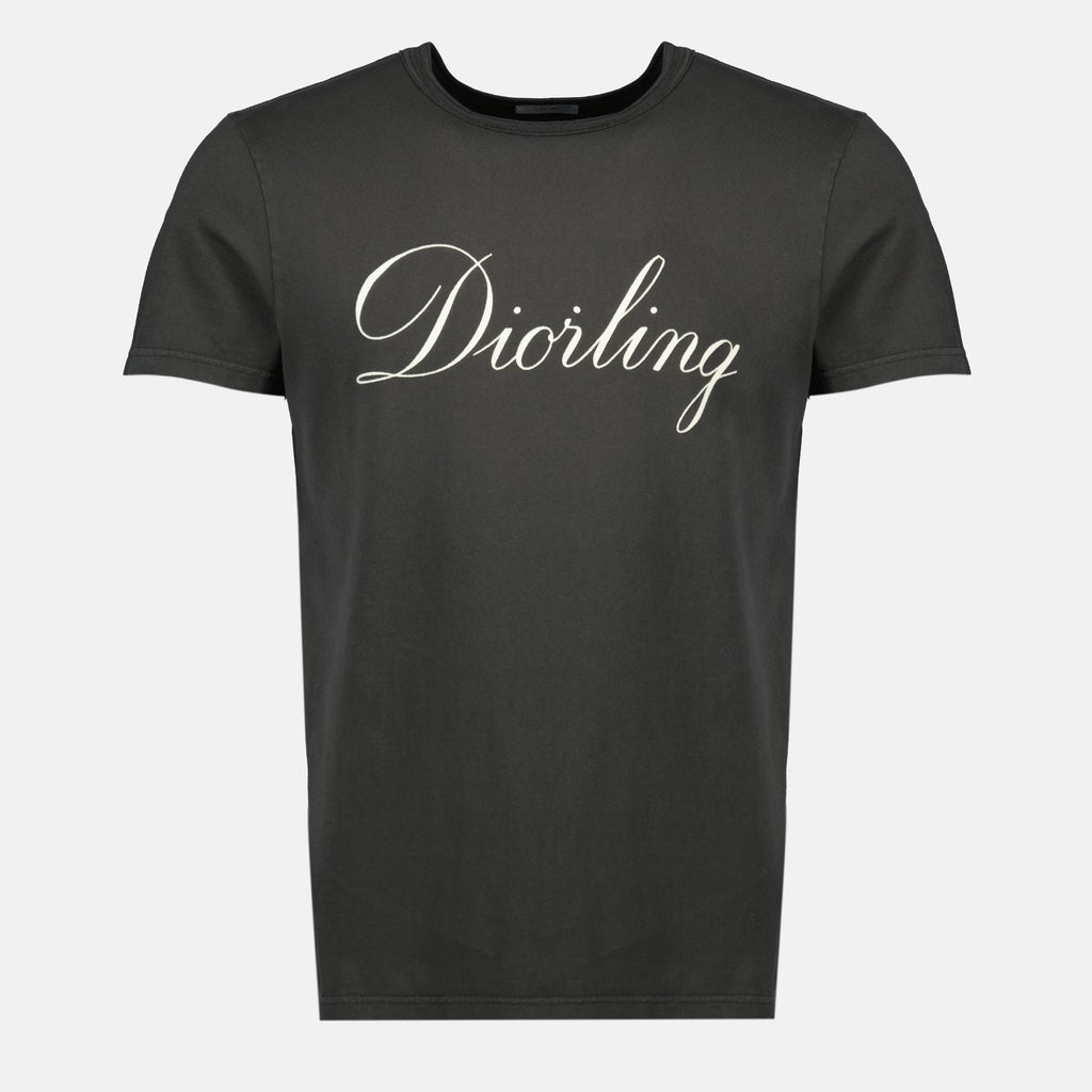 Bild des grauen Diorling-T-Shirts der Marke Dior für Herren - Herbst-Winter 2025 - Vorderansicht