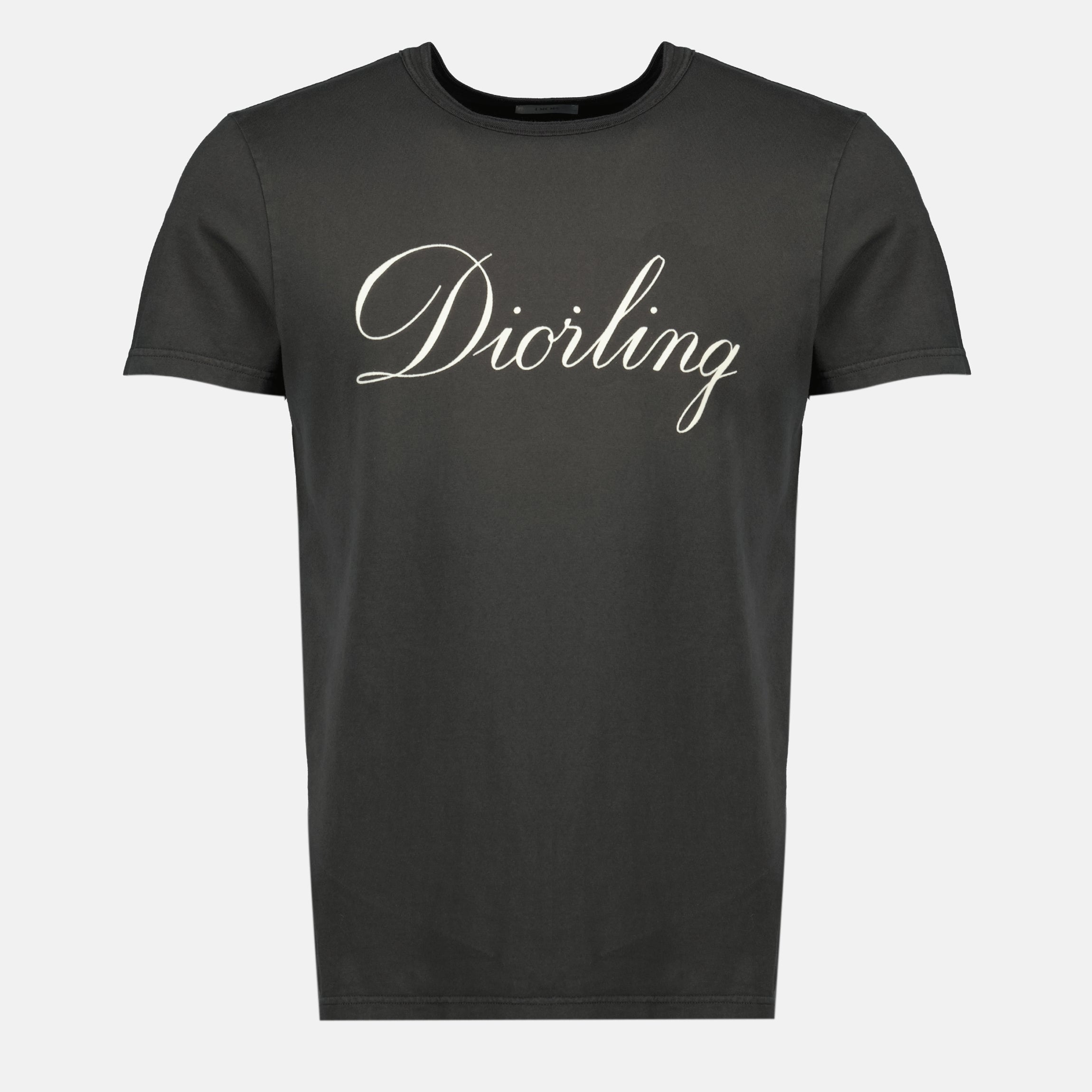 Bild des grauen Diorling-T-Shirts der Marke Dior für Herren - Herbst-Winter 2025 - Vorderansicht