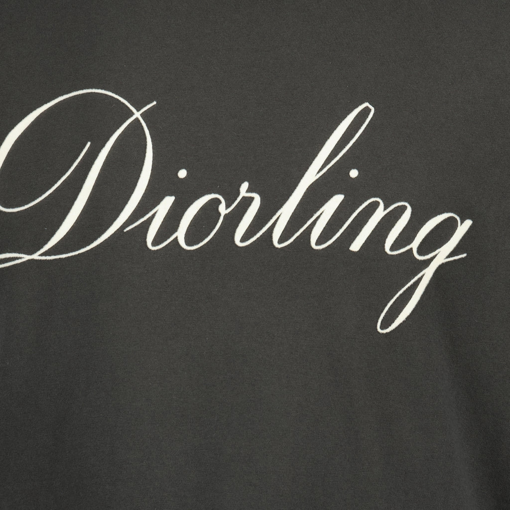Bild des grauen Diorling-T-Shirts der Marke Dior für Herren - Herbst-Winter 2025 - Detailansicht_2