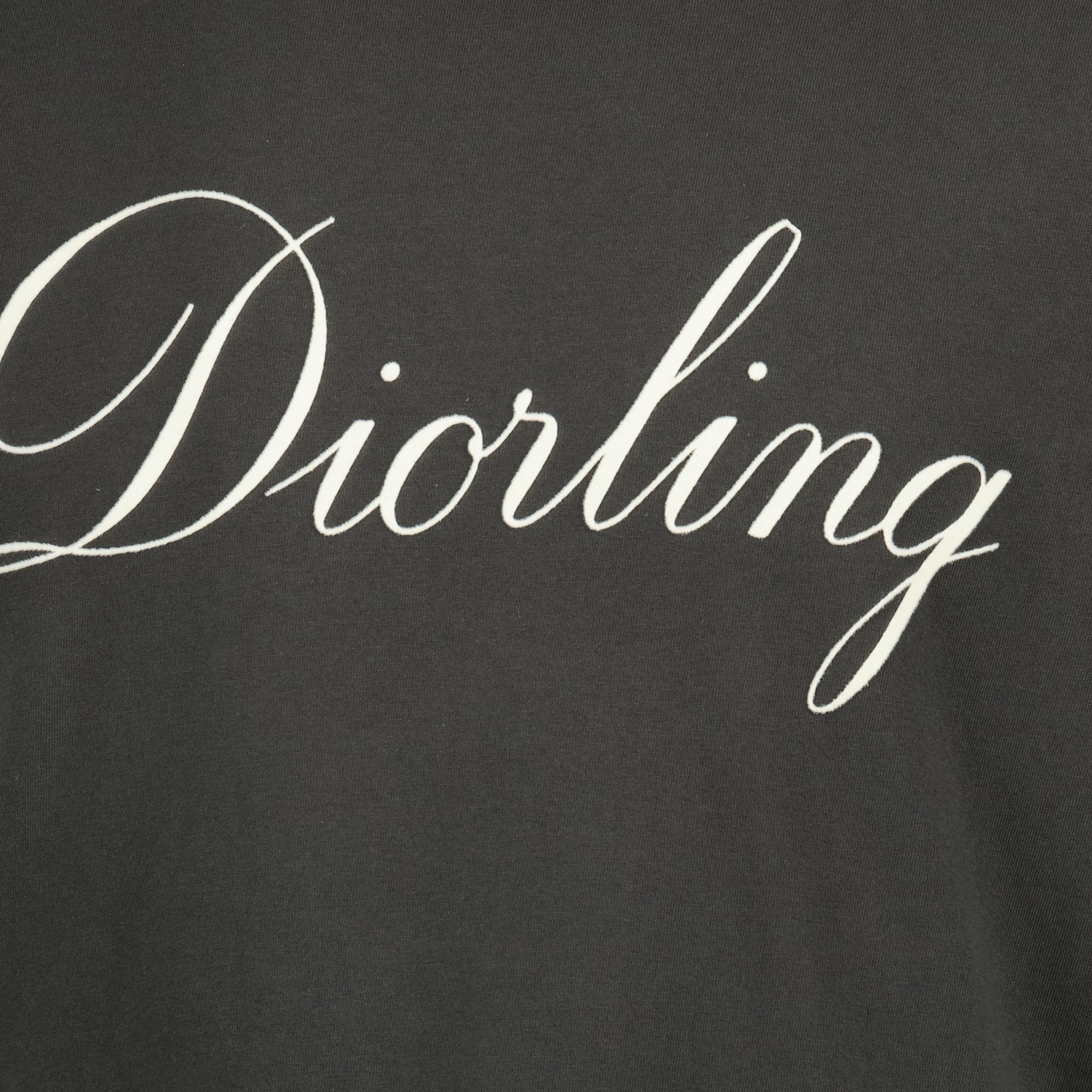 Bild des grauen Diorling-T-Shirts der Marke Dior für Herren - Herbst-Winter 2025 - Detailansicht_2