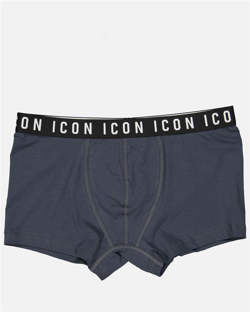 Sous-vêtements et homewear Boxer bande logo Dsquared2 Gris Homme