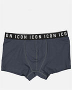 Sous-vêtements et homewear Boxer bande logo Dsquared2 Gris Homme