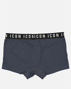 Sous-vêtements et homewear Boxer bande logo Dsquared2 Gris Homme