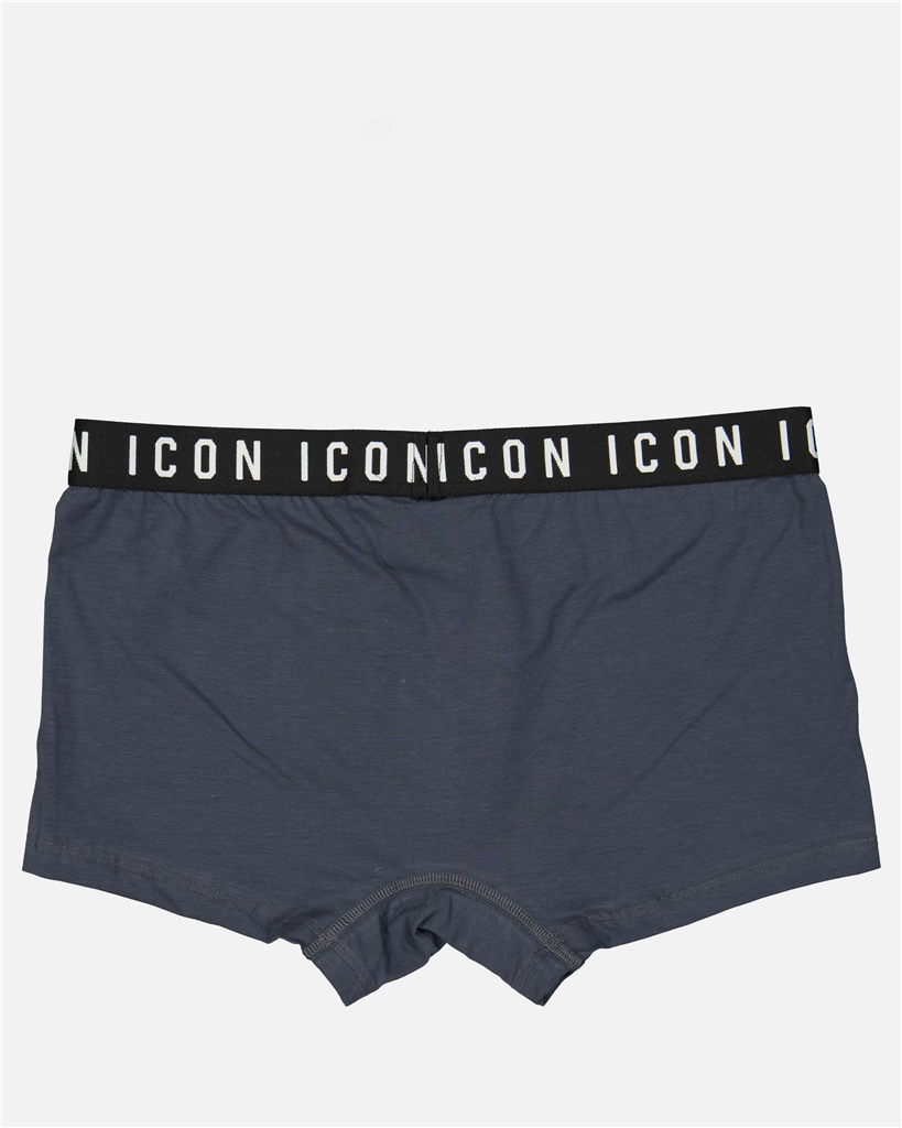 Sous-vêtements et homewear Boxer bande logo Dsquared2 Gris Homme
