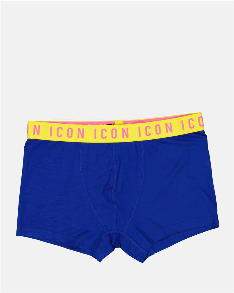 Sous-vêtements et homewear Boxer Icon Dsquared2 Bleu Homme