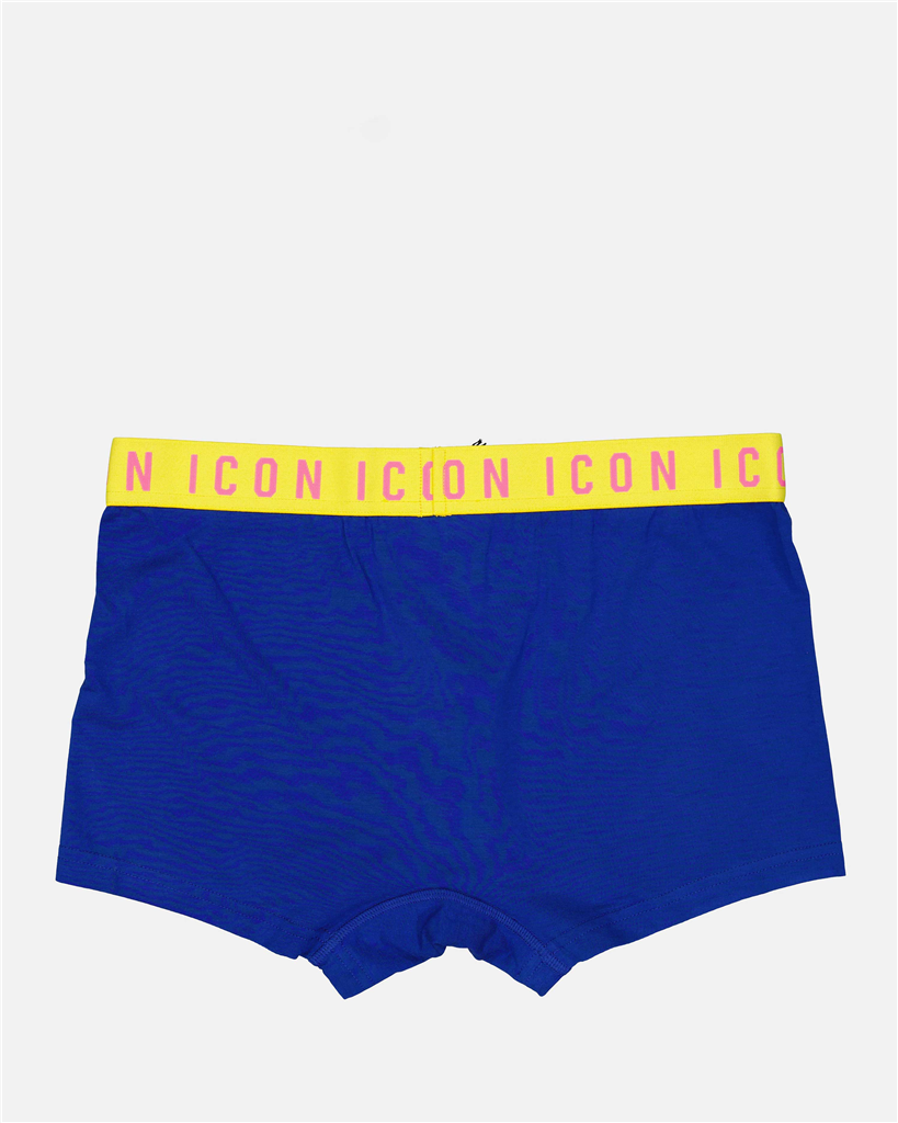 Sous-vêtements et homewear Boxer Icon Dsquared2 Bleu Homme
