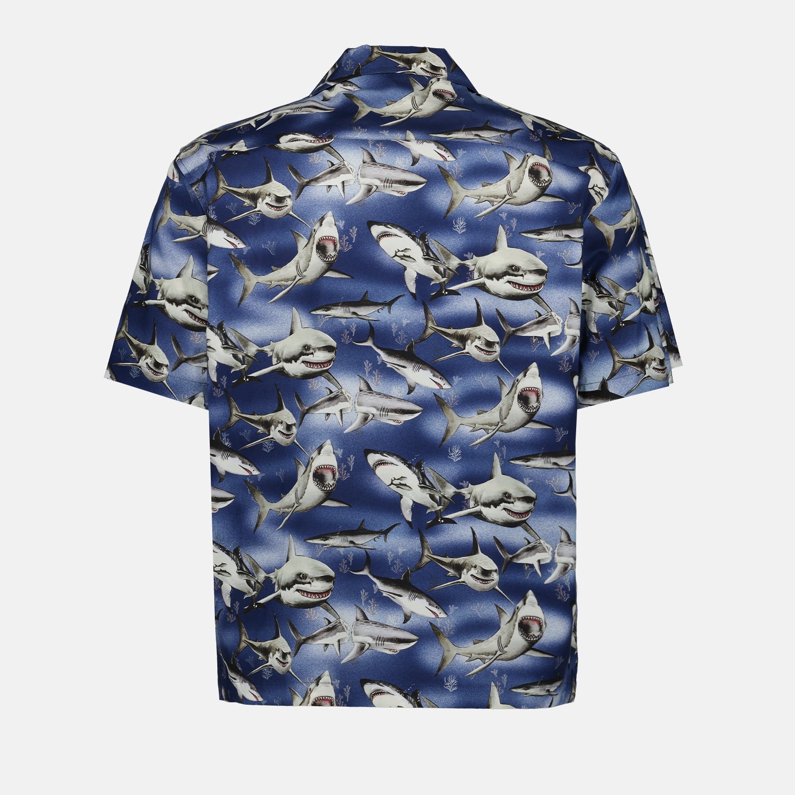 Hemden Chemise Requins Palm Angels Blau Homme
