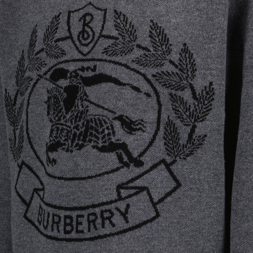 Sweatshirts Pull à capuche Burberry Gris Homme