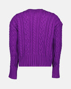 Maglieria Pull côtelé Ami PARIS Viola Femme