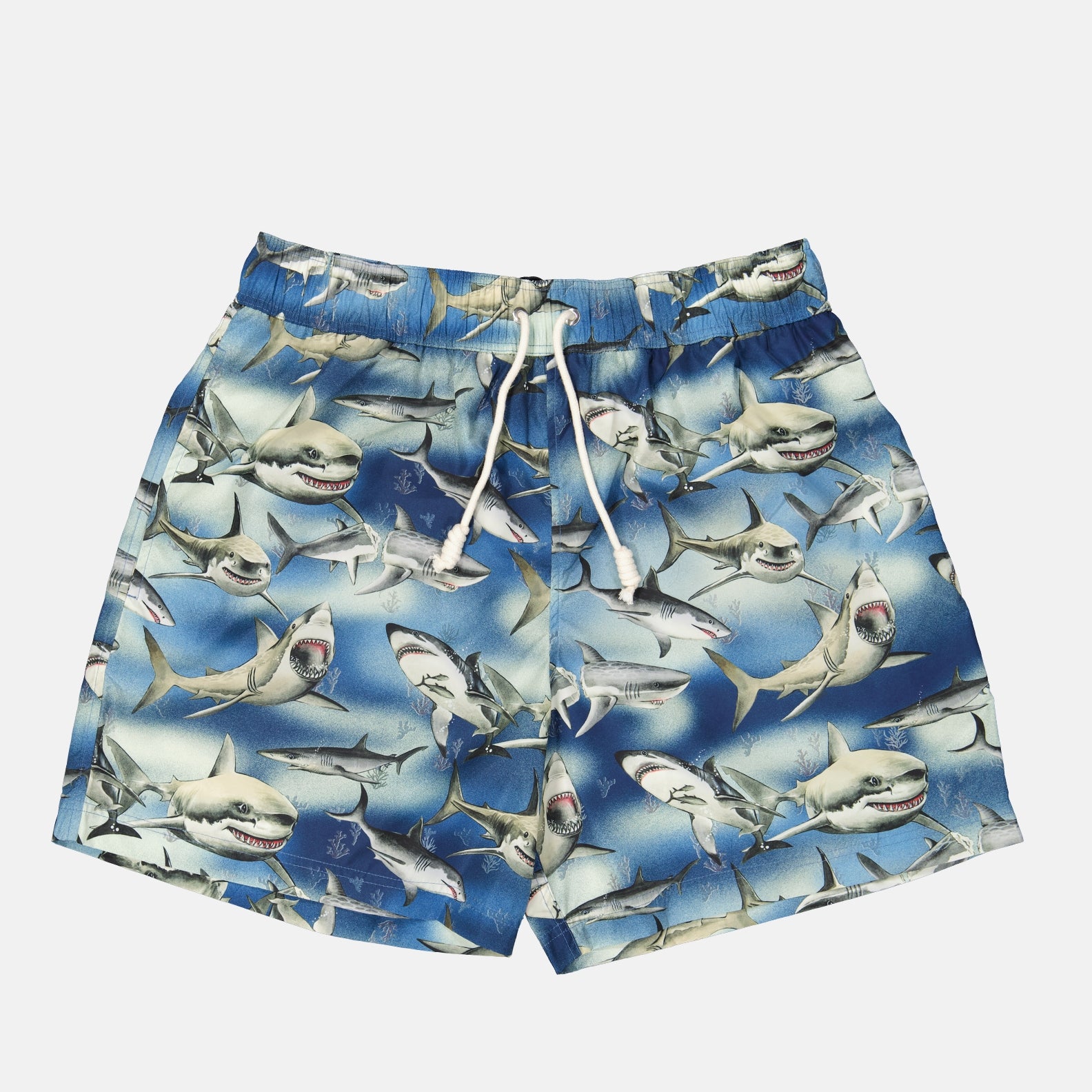Beachwear Maillot de bain sharks Palm Angels Bleu Homme