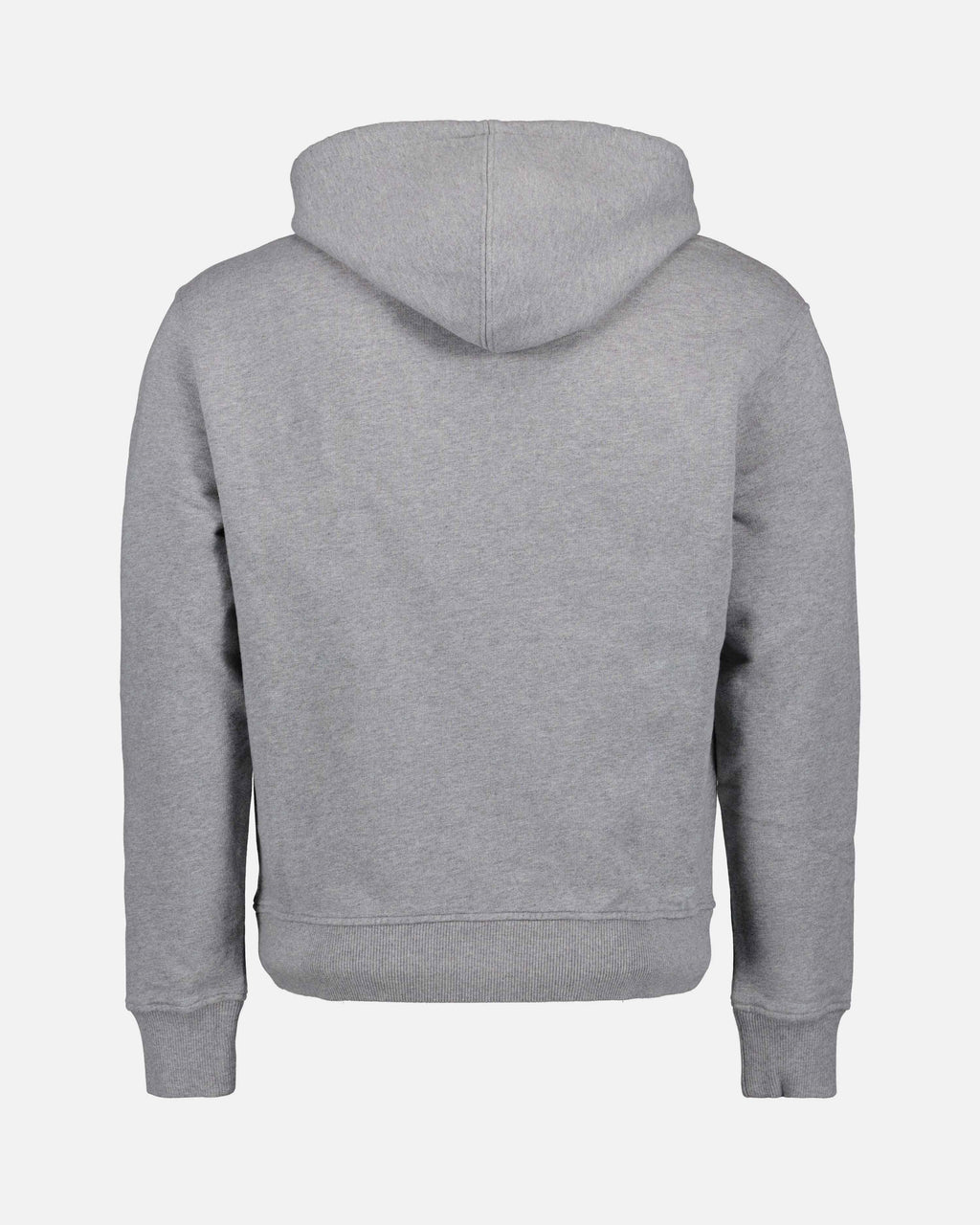 Sweatshirts Sweat à capuche Ami de Coeur Ami PARIS Gris Unisexe