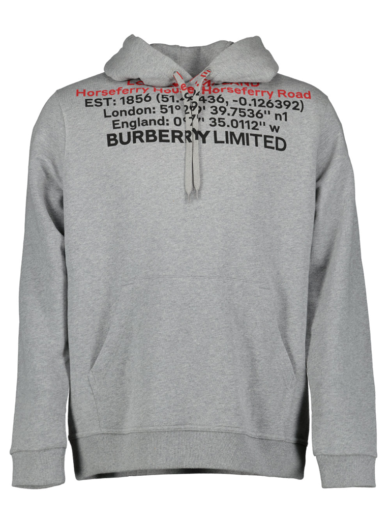 Moletons Sweat à capuche à imprimé Burberry Cinza Homme