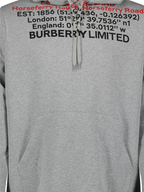 Moletons Sweat à capuche à imprimé Burberry Cinza Homme
