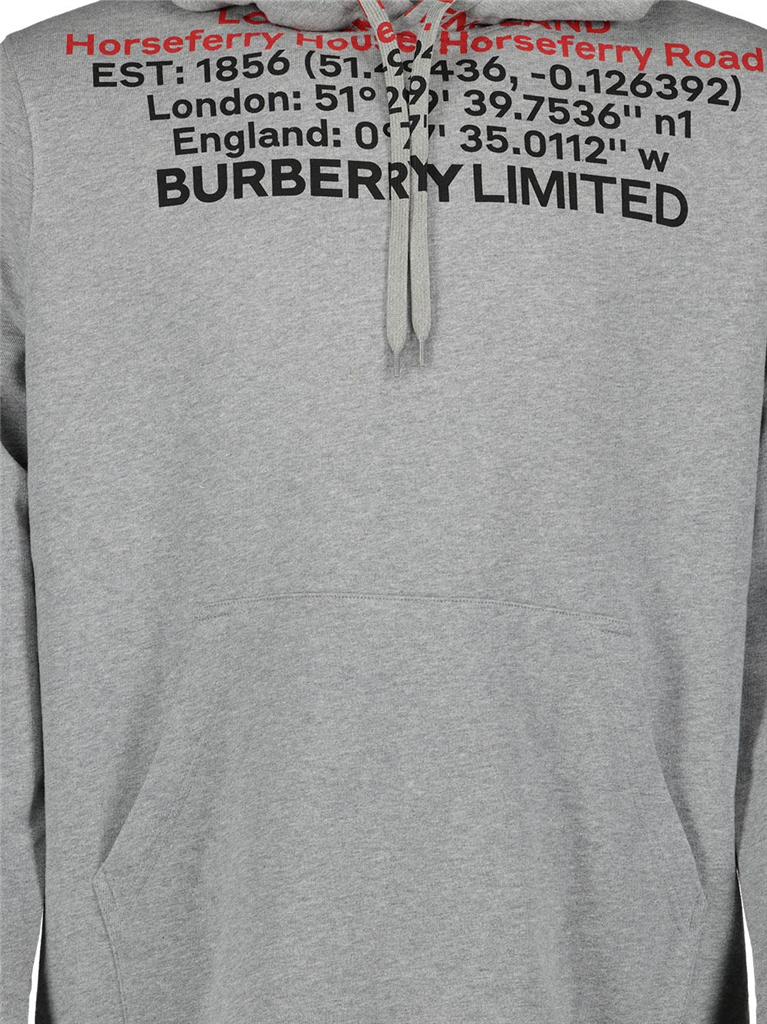Moletons Sweat à capuche à imprimé Burberry Cinza Homme