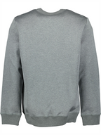 Sweatshirts Sweatshirt Illustration de Blake Alexander McQueen Gris Homme