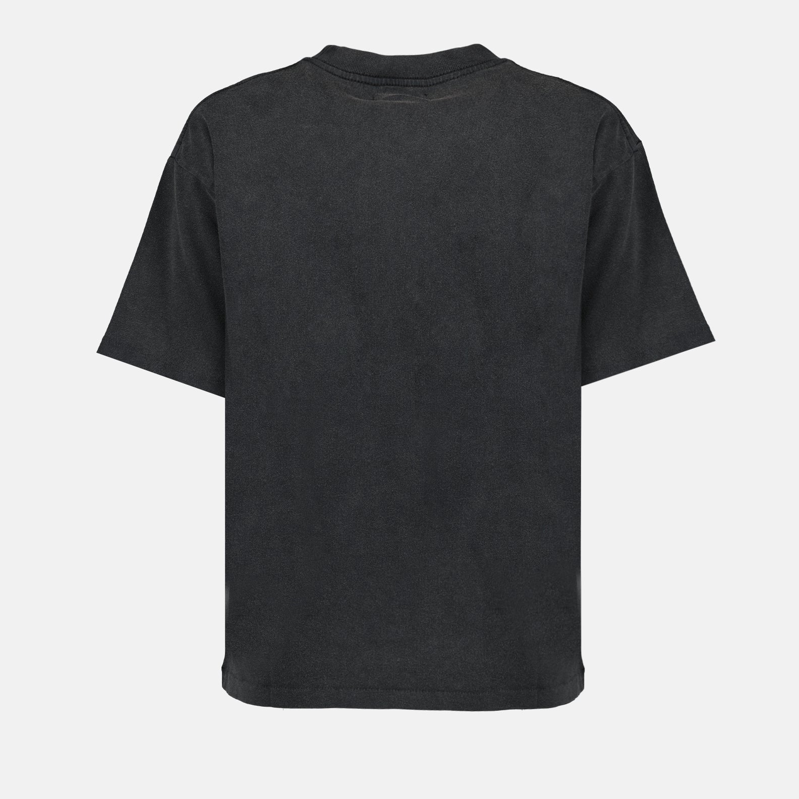 T-shirt T-shirt imprimé Tigre Anine Bing Grigio Femme