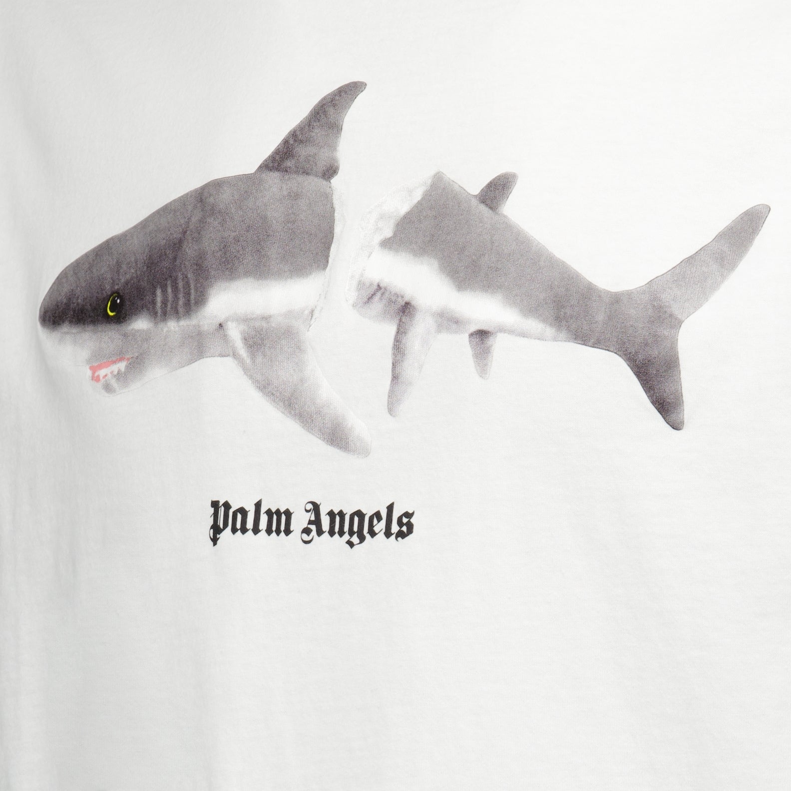 Camisetas T-shirt Broken Shark Palm Angels Branco Homme