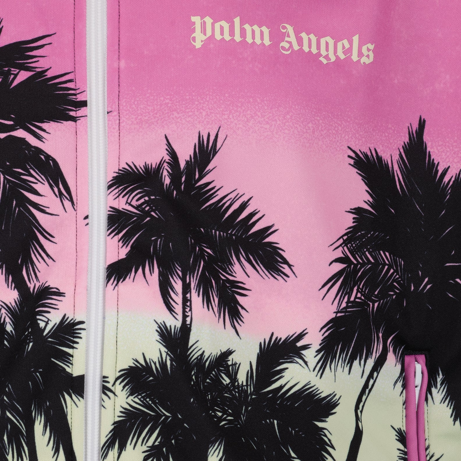 Vestes Veste Pink Sunset Palm Angels Violet Homme